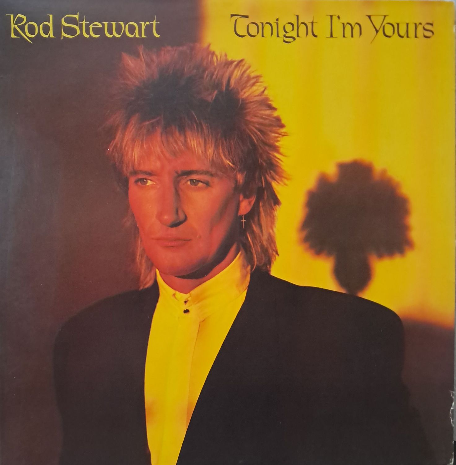 Rod Stewart – Tonight I'm Yours (US Winchester Pressing) (1981)