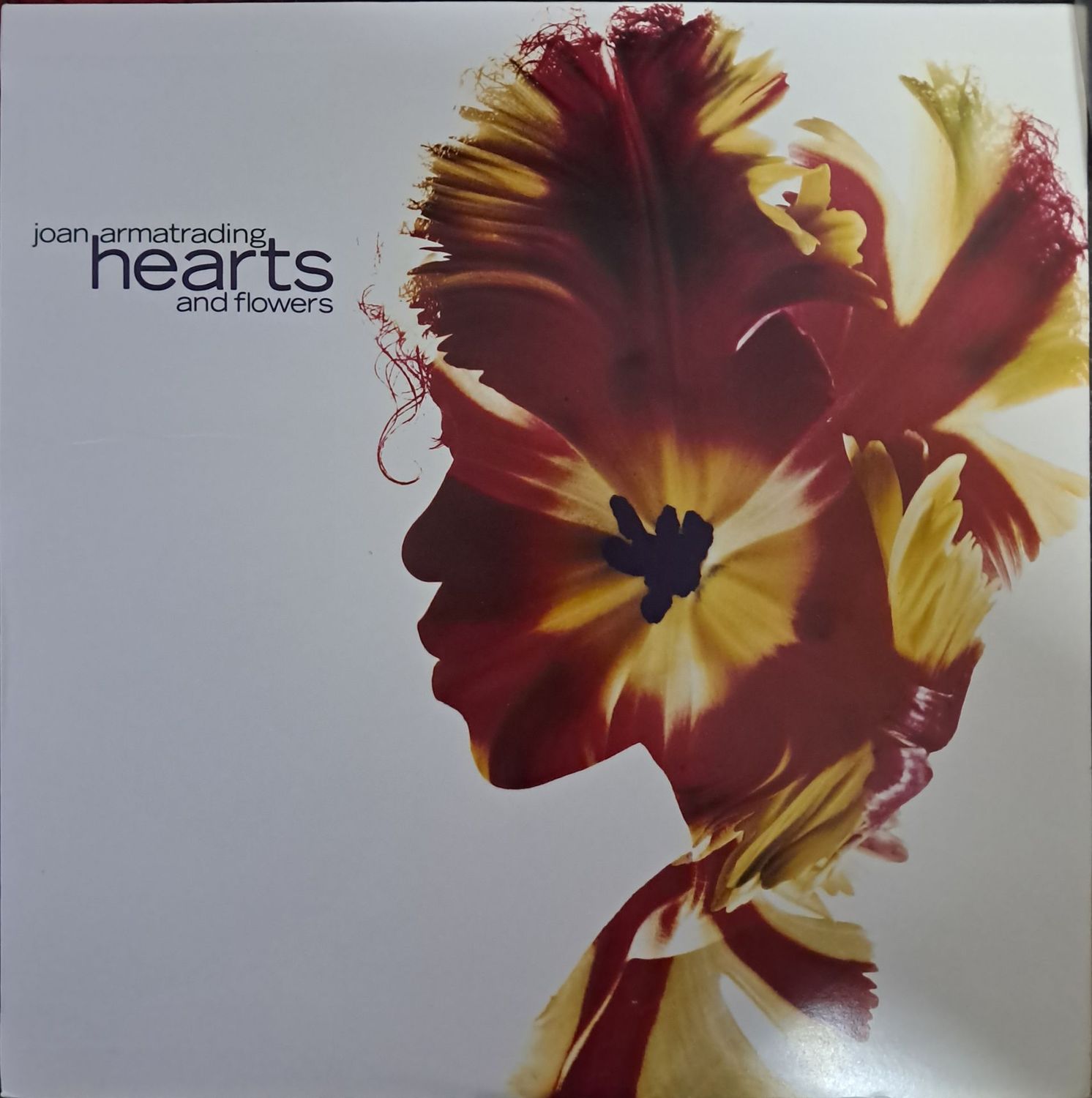 Joan Armatrading – Hearts And Flowers (1990)
