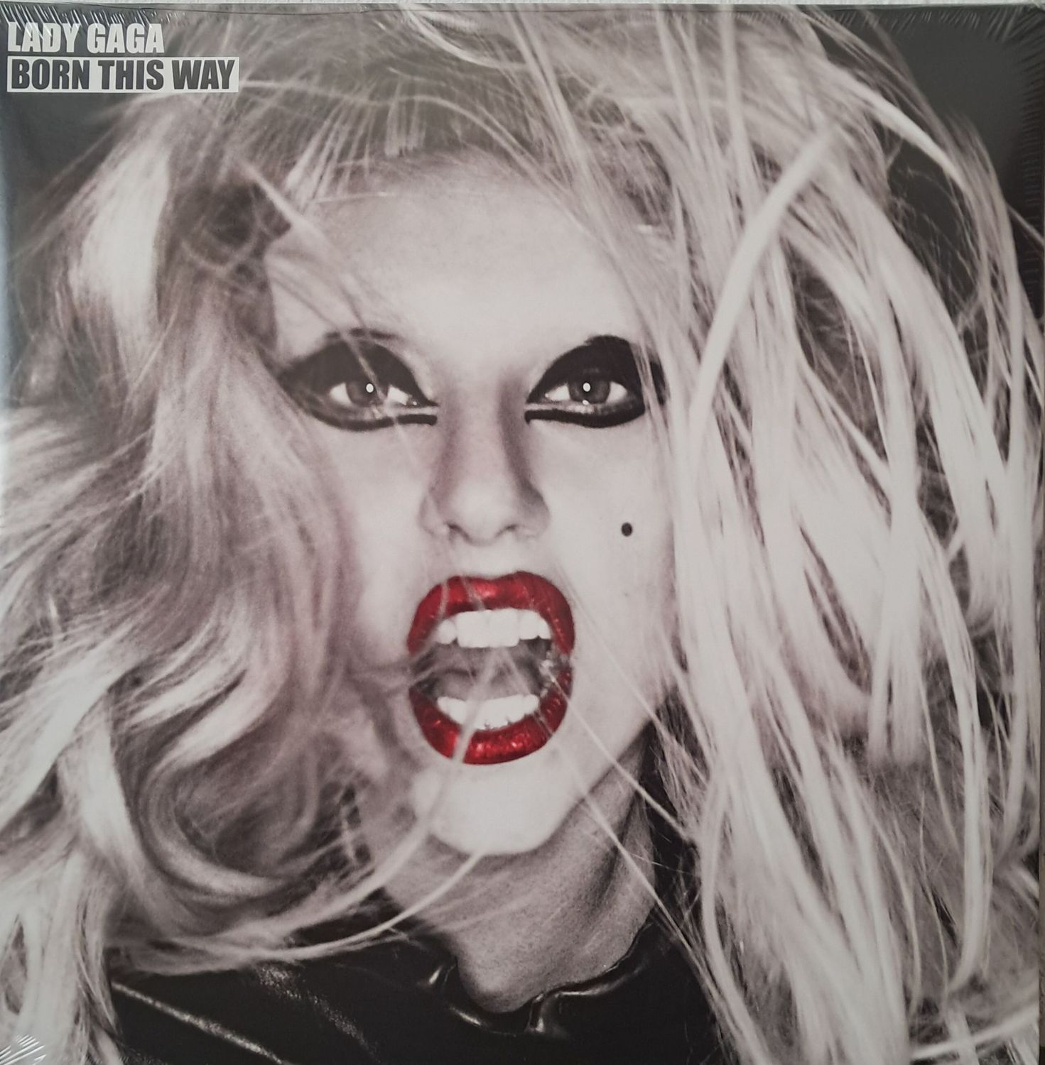 Lady Gaga – Born This Way (2XLP) (Europe Pressing) (180 Gram) (2011) (Gatefold) (Sealed)