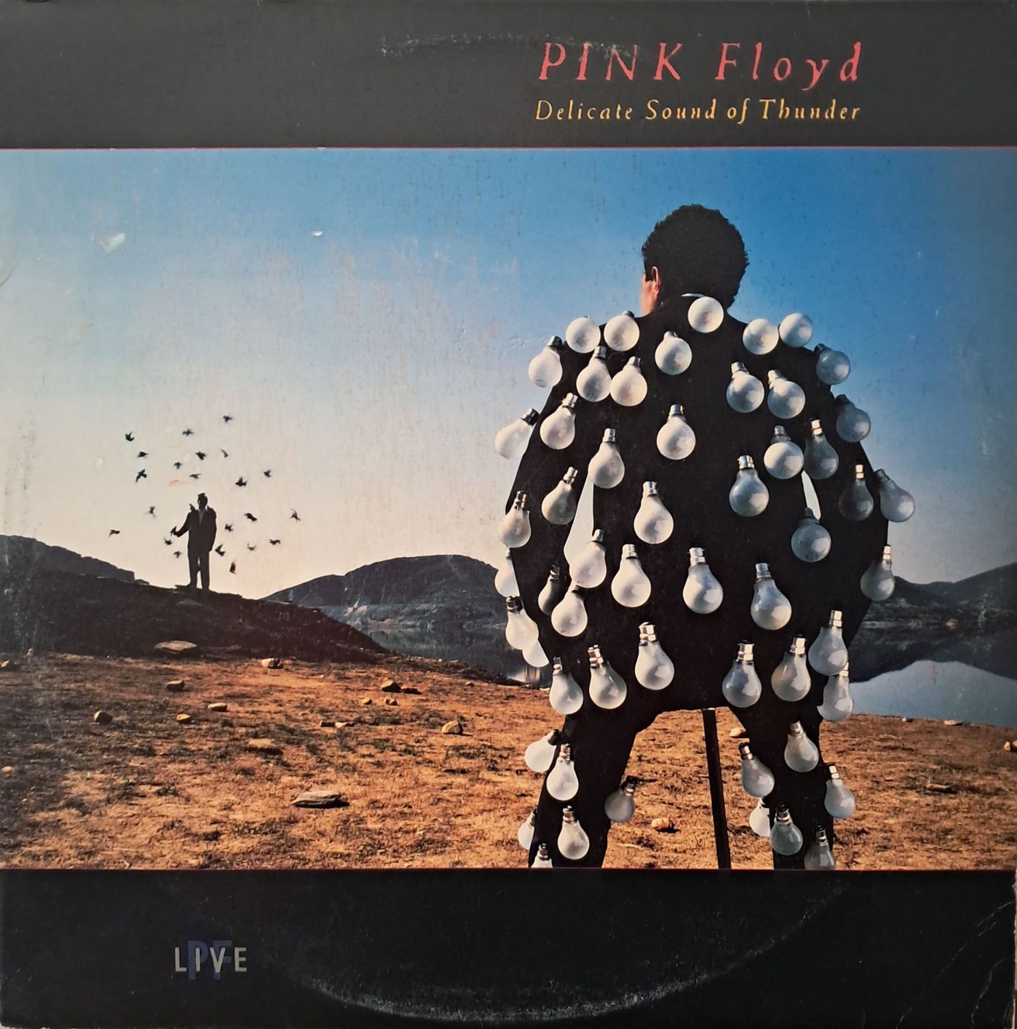 Pink Floyd – Delicate Sound Of Thunder (2XLP) (1988) (Gatefold)