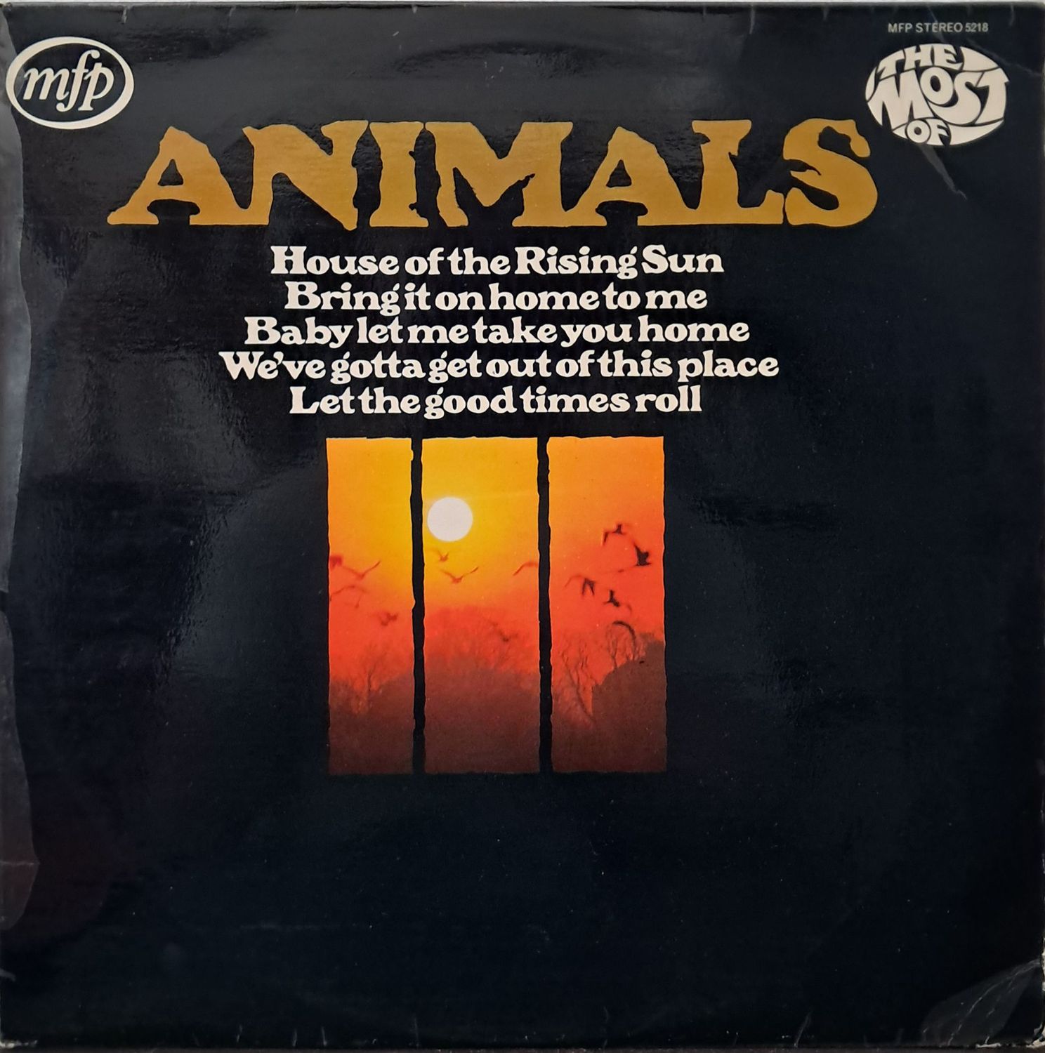 Animals – The Most Of