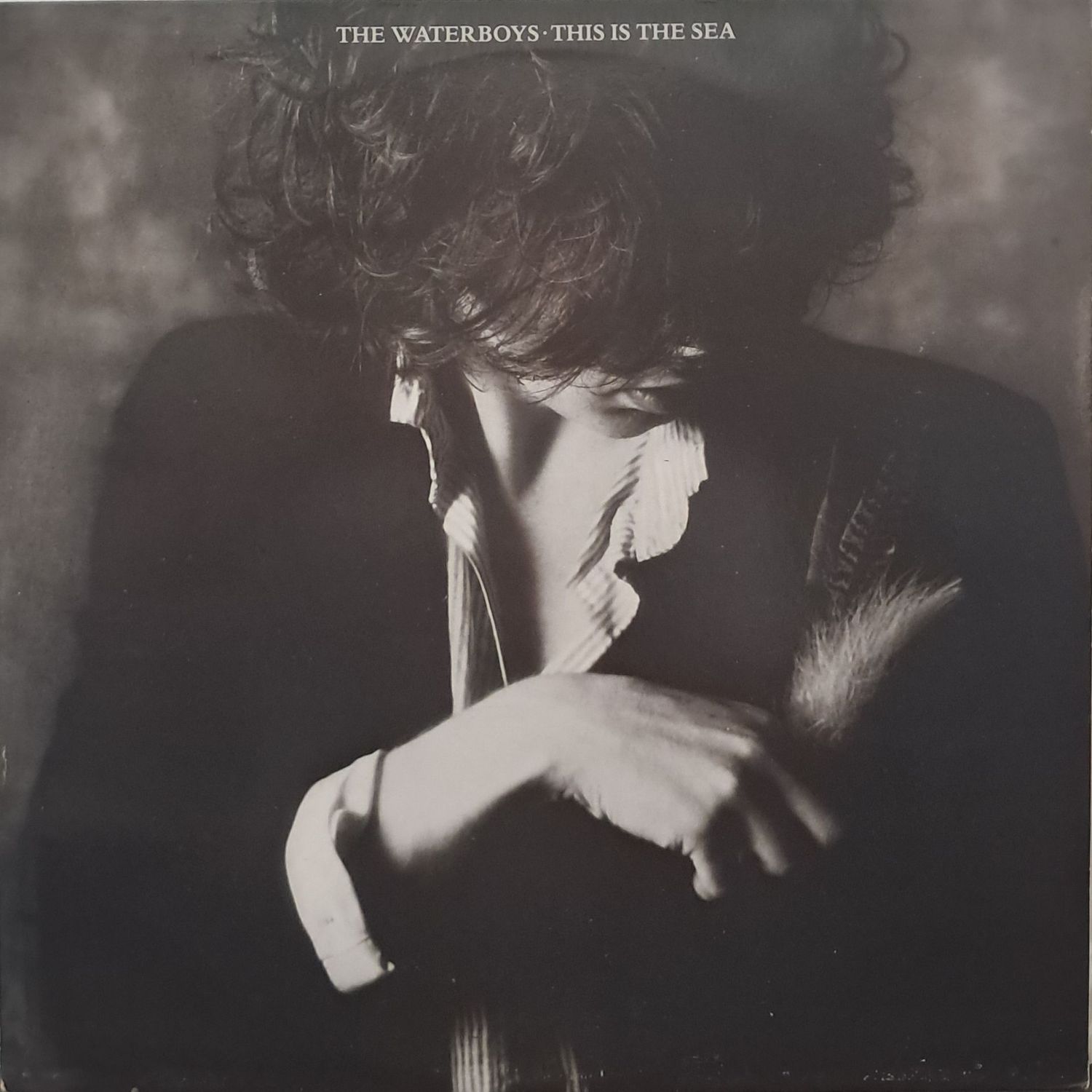 The Waterboys – This Is The Sea ( Portugal Pressing - 1985)