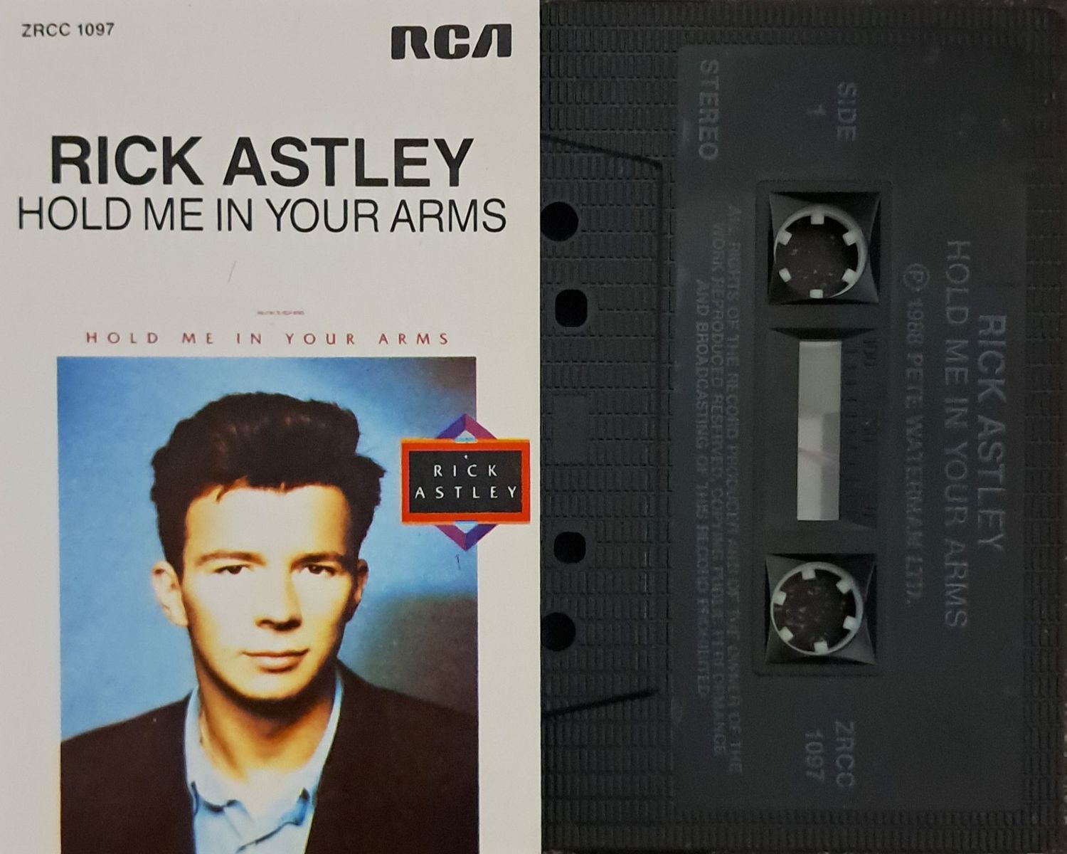 Rick Astley – Hold Me In Your Arms (1988)