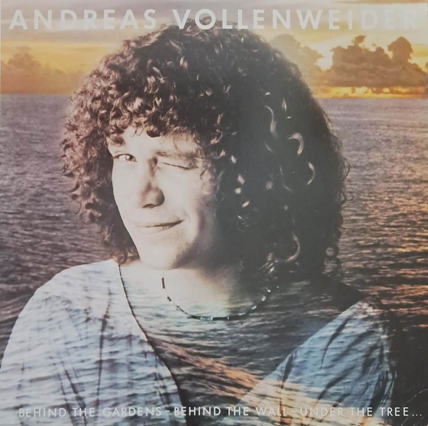 Andreas Vollenweider – ...Behind The Gardens - Behind The Wall - Under The Tree... (1984)