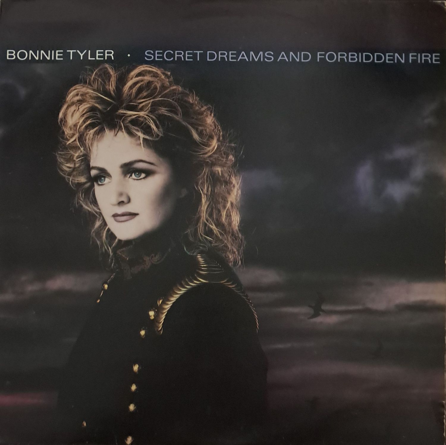 Bonnie Tyler – Secret Dreams And Forbidden Fire (1986)