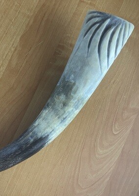 HORN