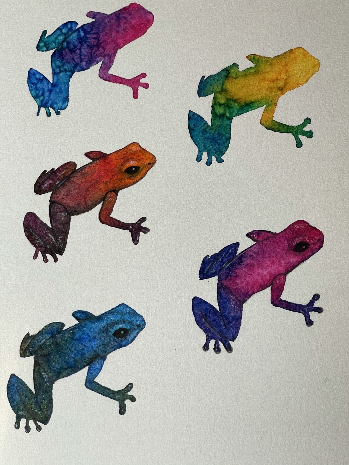 FROGS