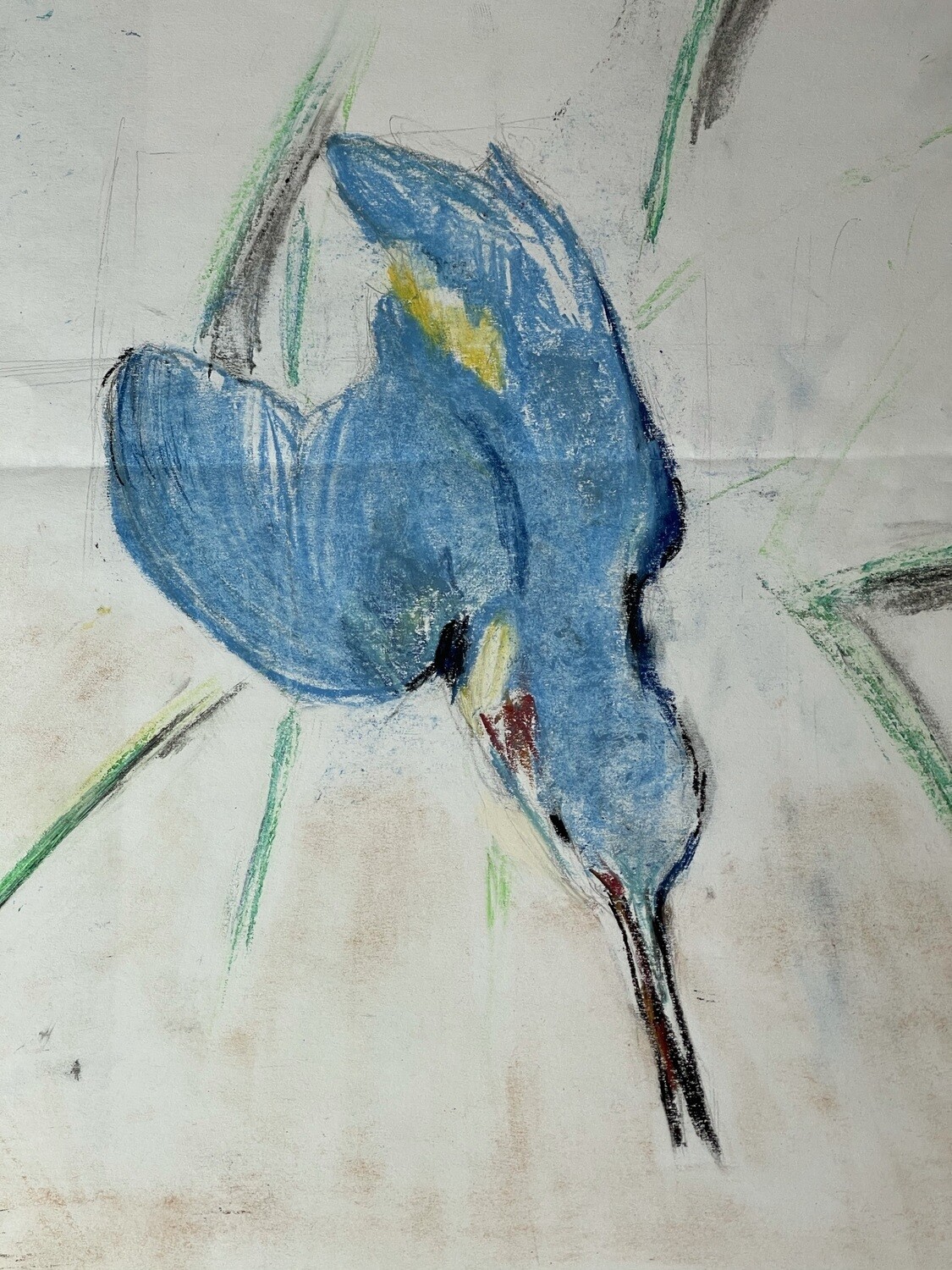 BLUE BIRD