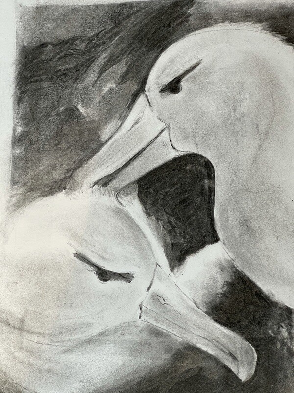 COUPLE BIRD