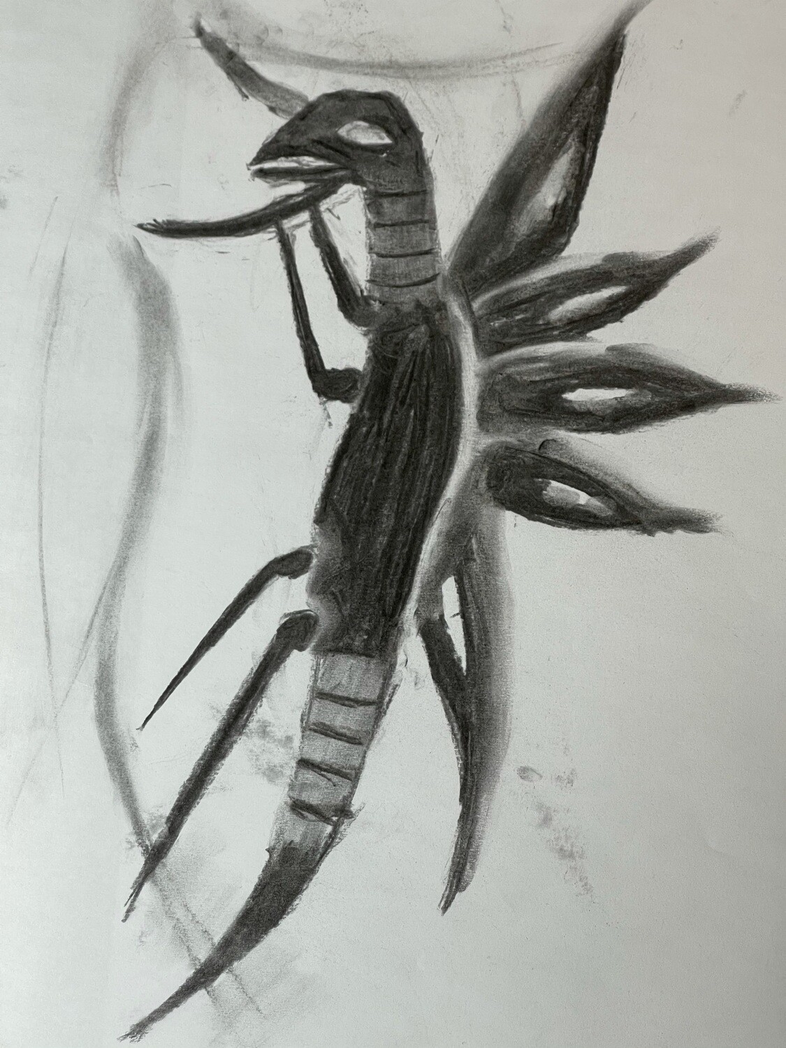 PRAYING MANTIS