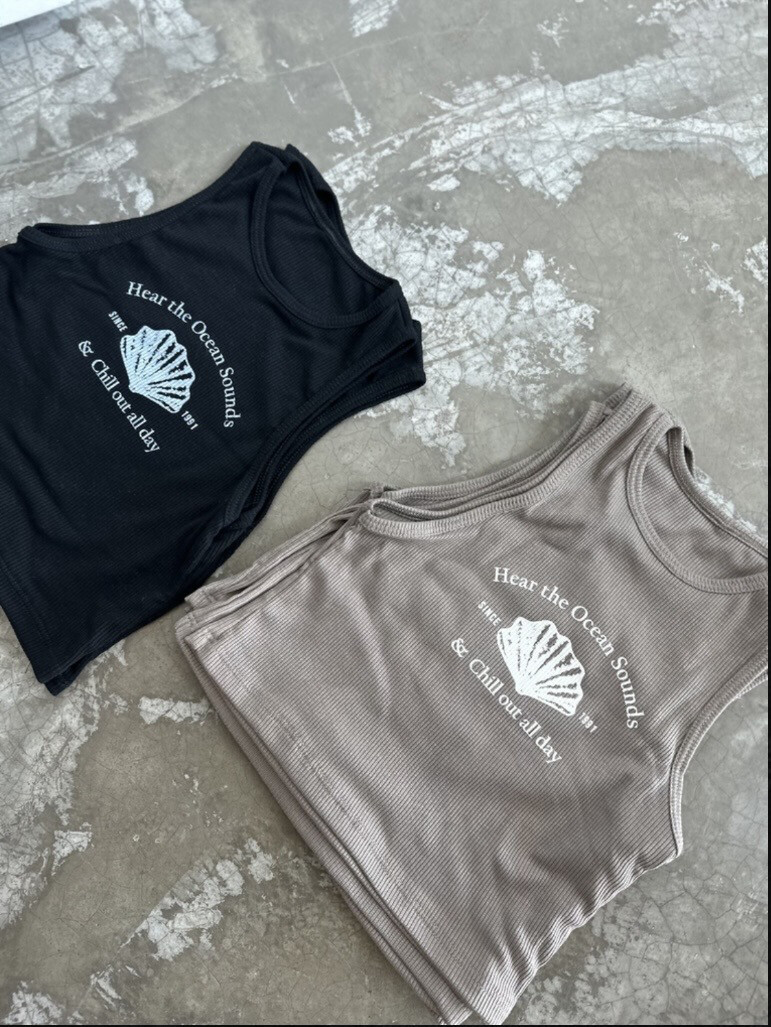 Musculosa seashell