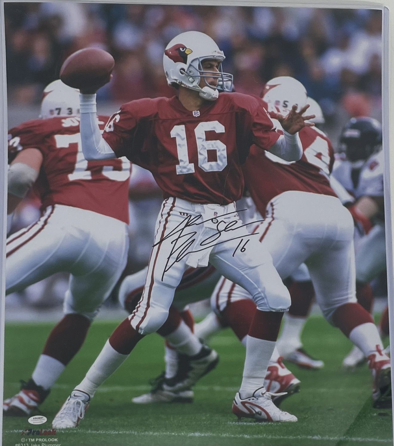 Jake Plummer Signed Cardinals 16x20 Photo Inscribed &quot;Snake&quot; (Schwartz)