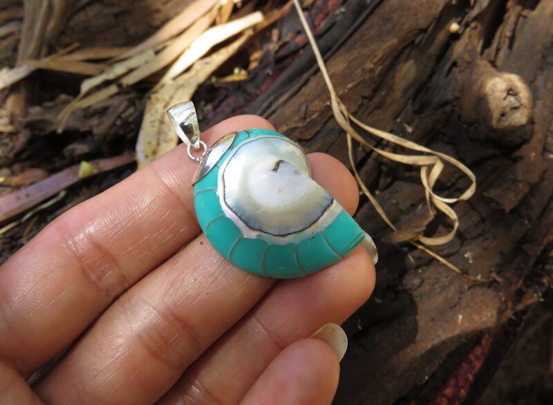 Sterling Silver Blue Nautilus Shell Pendant SP-1144
