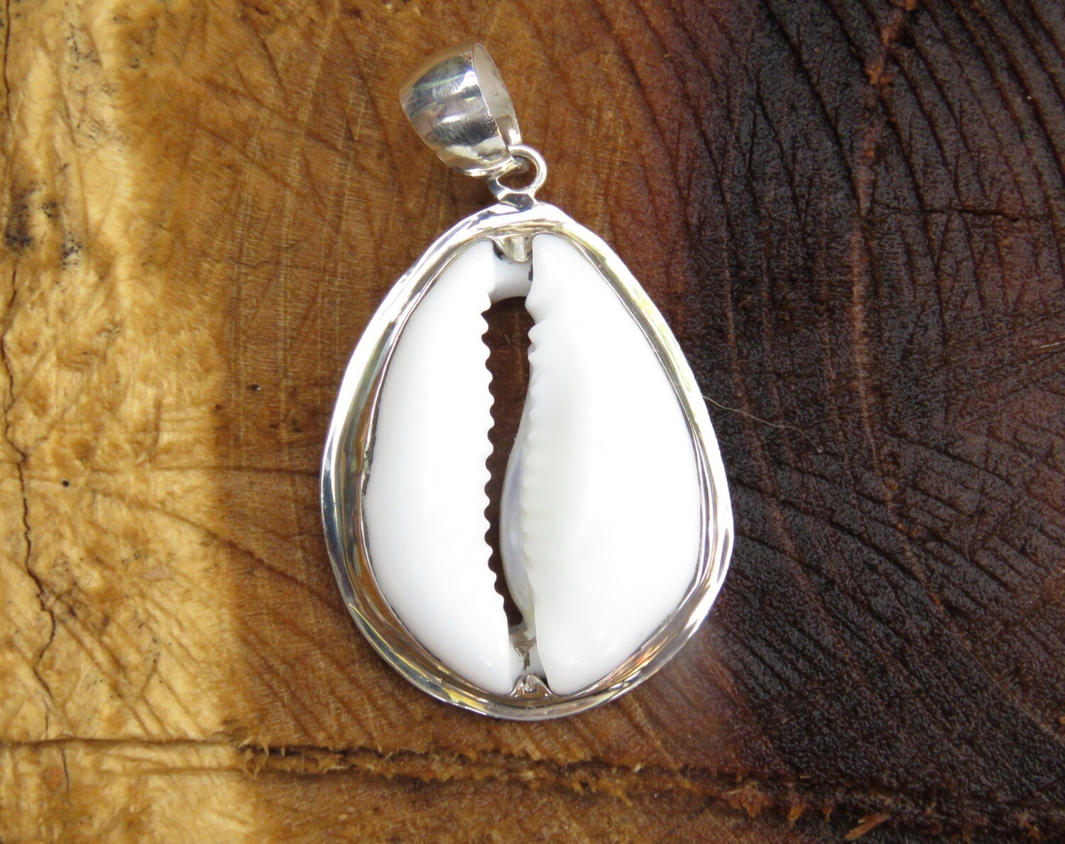 Sterling Silver, Cowrie Shell, Unisex Pendant SSP-207