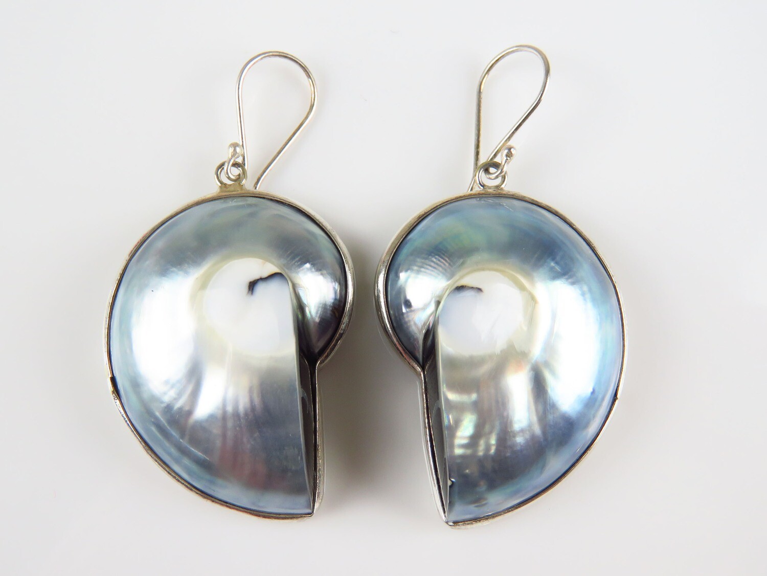 Sterling Silver, Nautilus Shell, Grey Color, Shell Earrings ER-1122
