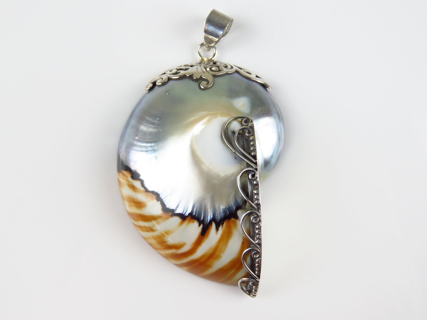 Sterling Silver, Nautilus, Shell Pendant