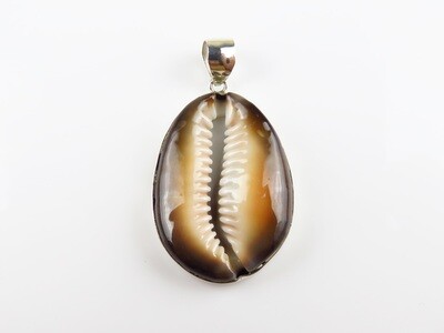 Sterling Silver, Brown Color, Cowrie, Shell Pendant