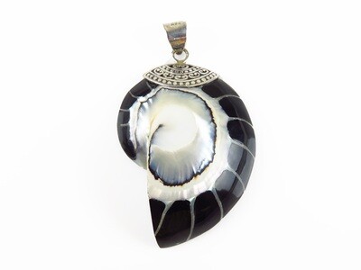 Sterling Silver, Black Color, Nautilus Shell, Shell Pendant