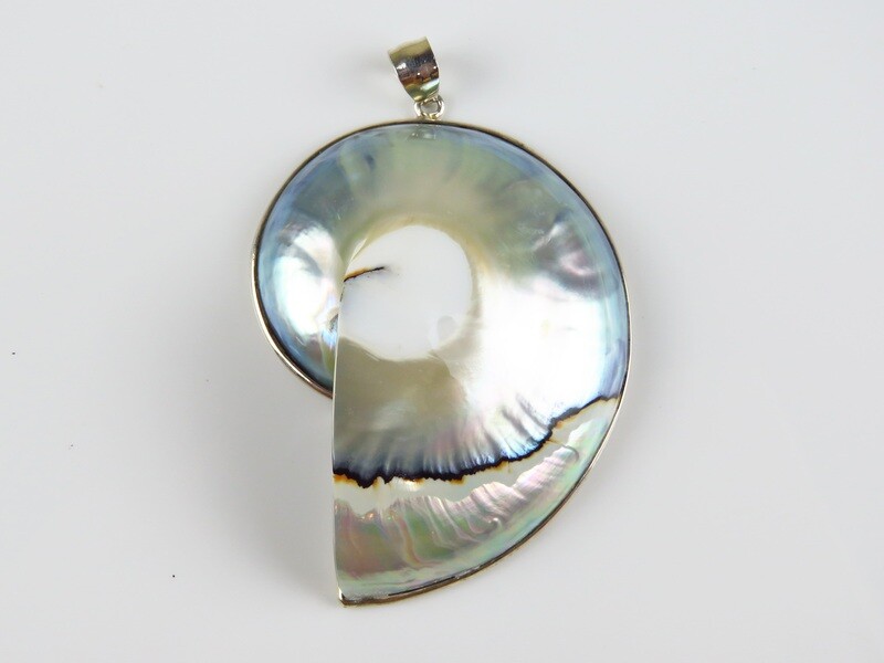 Sterling Silver, Nautilus Shell, Shell Pendant
