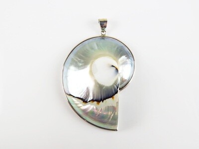 Sterling Silver, Grey Color, Nautilus Shell Pendant