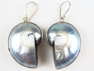 Sterling Silver & Shell Earrings