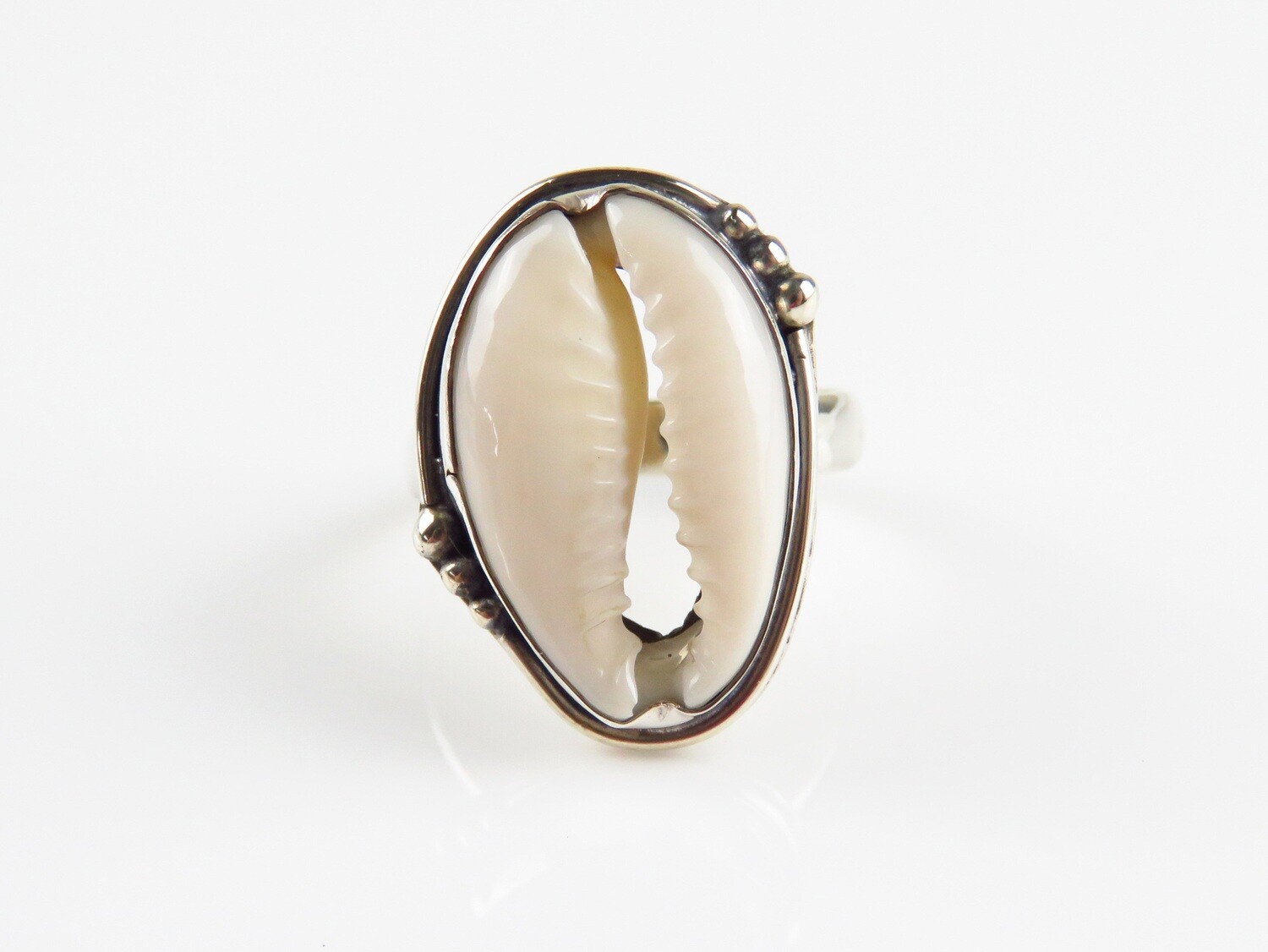 Sterling Silver, Cowrie Shell, Ring RI-1089