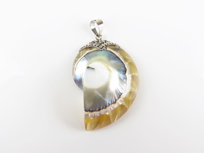 Sterling silver, Brown nautilus, Shell pendant SHP-100