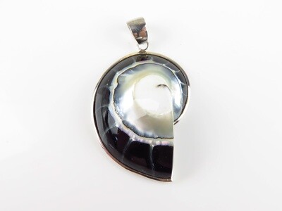 Sterling silver, Black color, Nautilus, Shell pendant SHP-103