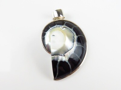 Sterling silver, Black color, Nautilus, Shell pendant SHP-104