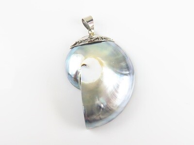 Sterling silver, Grey color, Nautilus, Shell pendant SHP-105