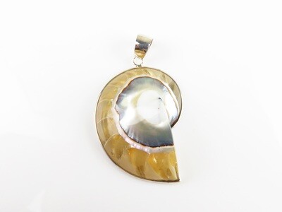 Sterling Silver, Grey and Brown, Nautilus , Shell Pendant SHP-110