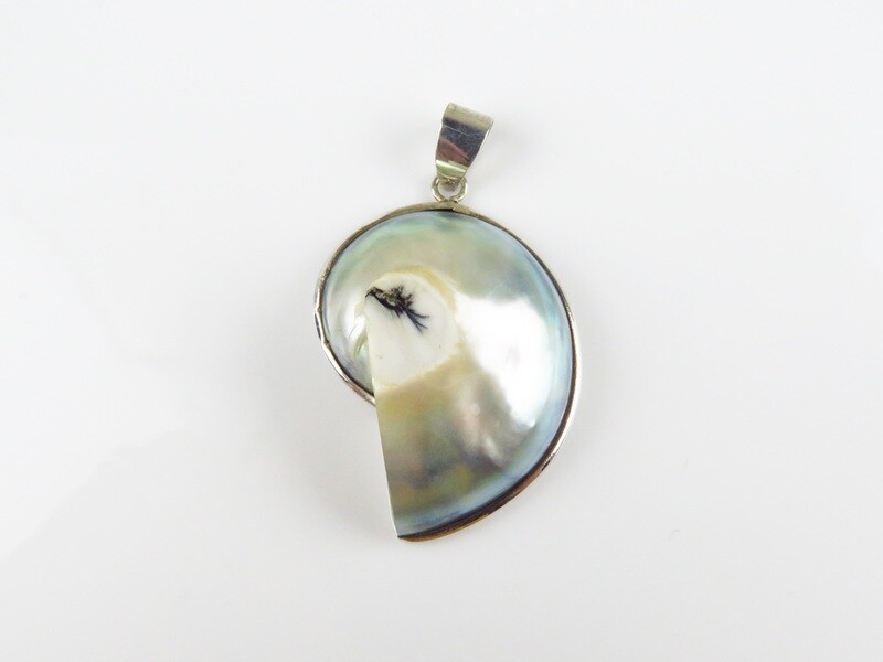 Sterling silver, Grey, brown, Nautilus, Shell pendant SHP-109