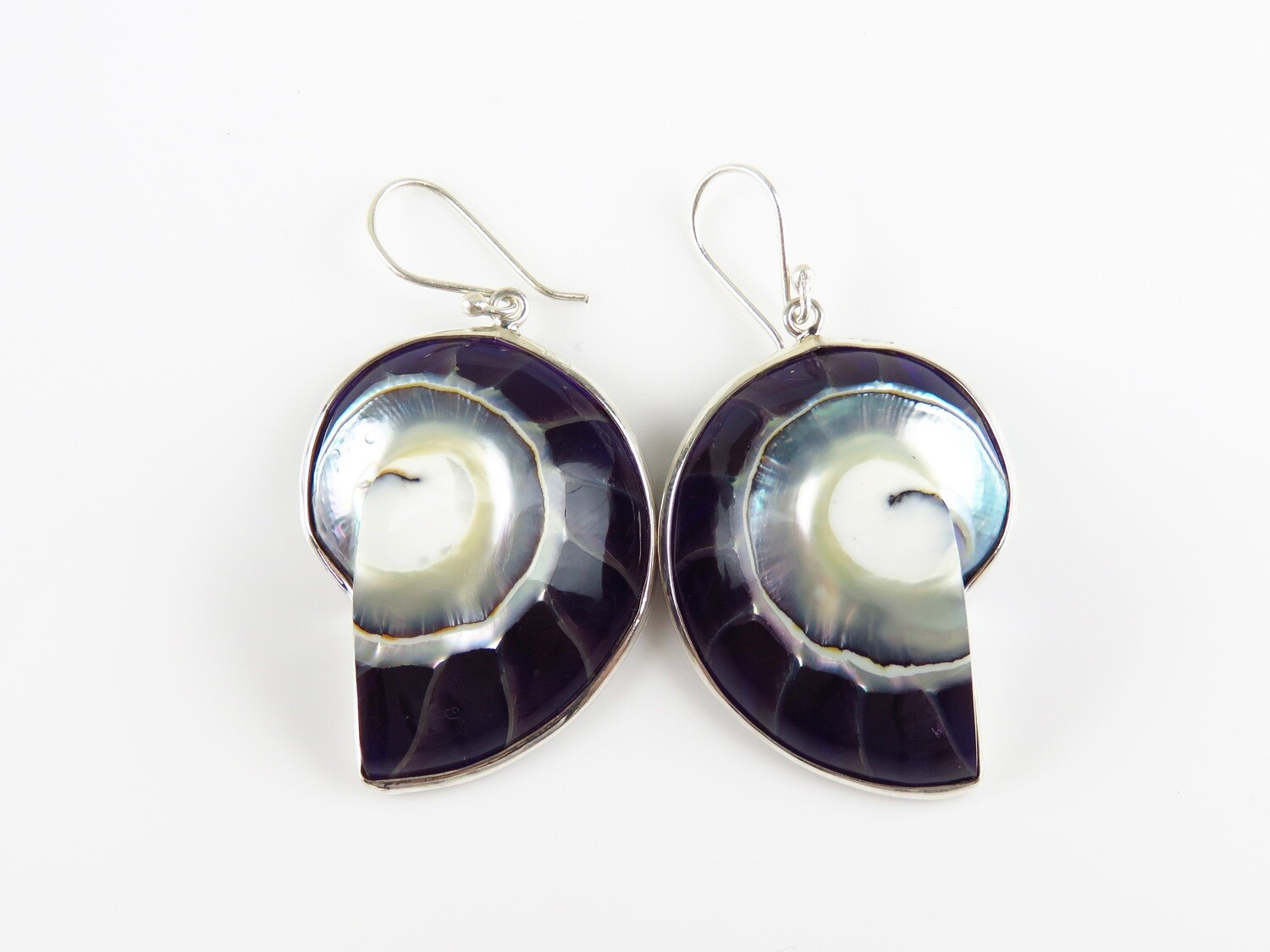 Sterling Silver, Black, Nautilus Shell Earrings SSE-103