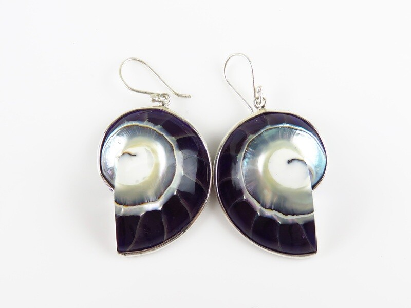 Sterling Silver, Black, Nautilus Shell Earrings SSE-103