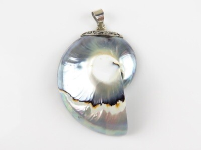 Sterling Silver, Grey Color, Nautilus Shell Pendant SHP-127