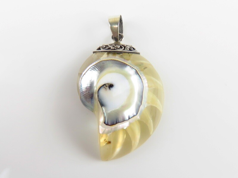 Sterling Silver, Transparent, Nautilus Shell Pendant SHP-134