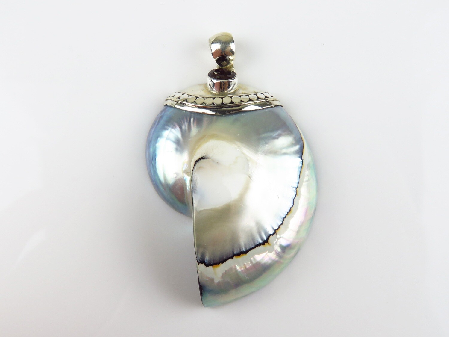 Sterling Silver, Grey Color, Nautilus Shell Pendant SHP-138