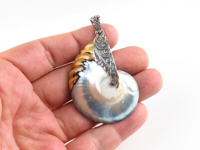 Sterling Silver, Grey Color, Nautilus Shell Pendant SHP-139