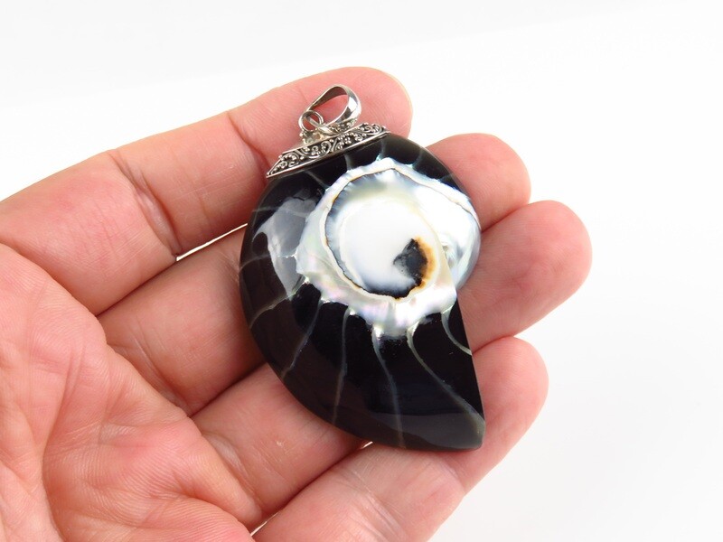Sterling Silver, Black Color, Nautilus Shell Pendant SHP-144