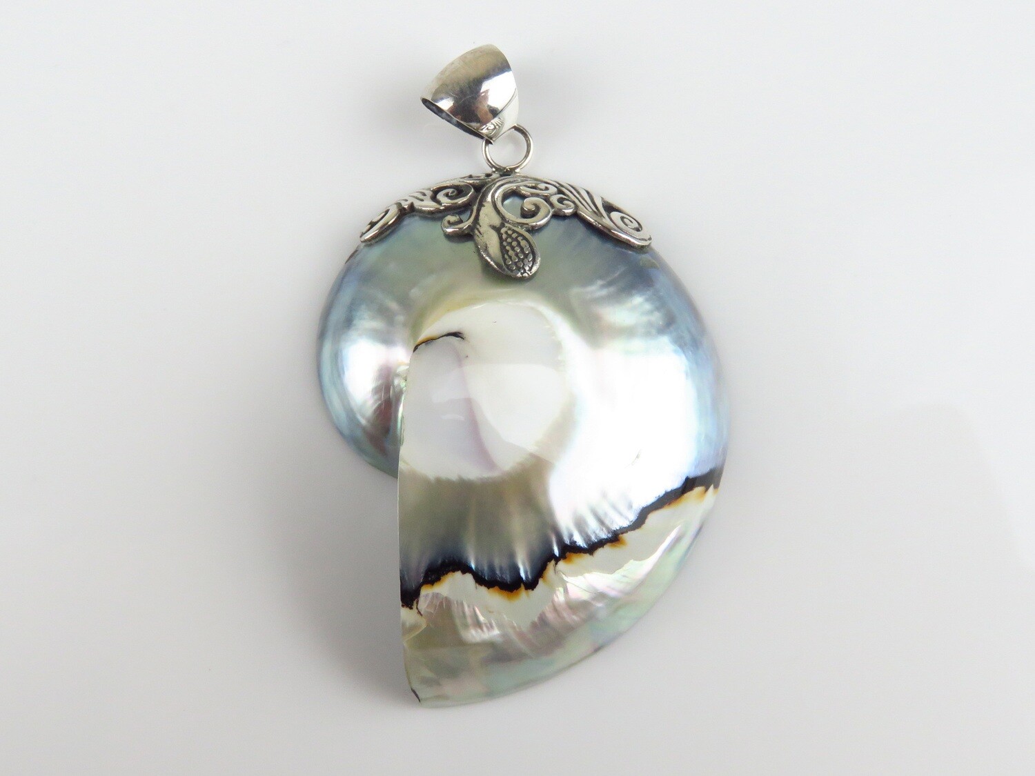 Sterling Silver, Grey Color, Nautilus Shell Pendant SHP-148