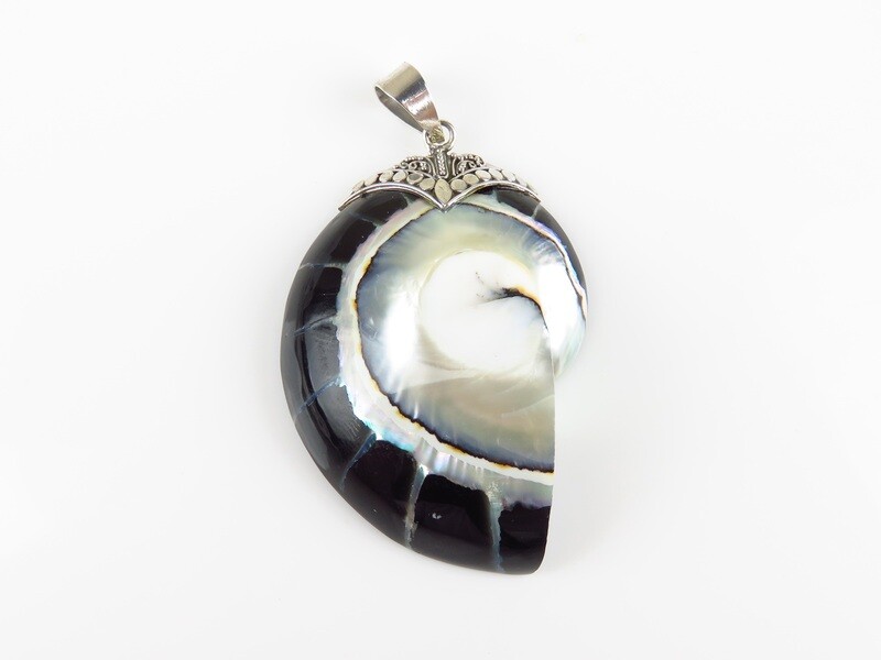 Sterling silver, Black Color, Nautilus, Shell Pendant SHP-150