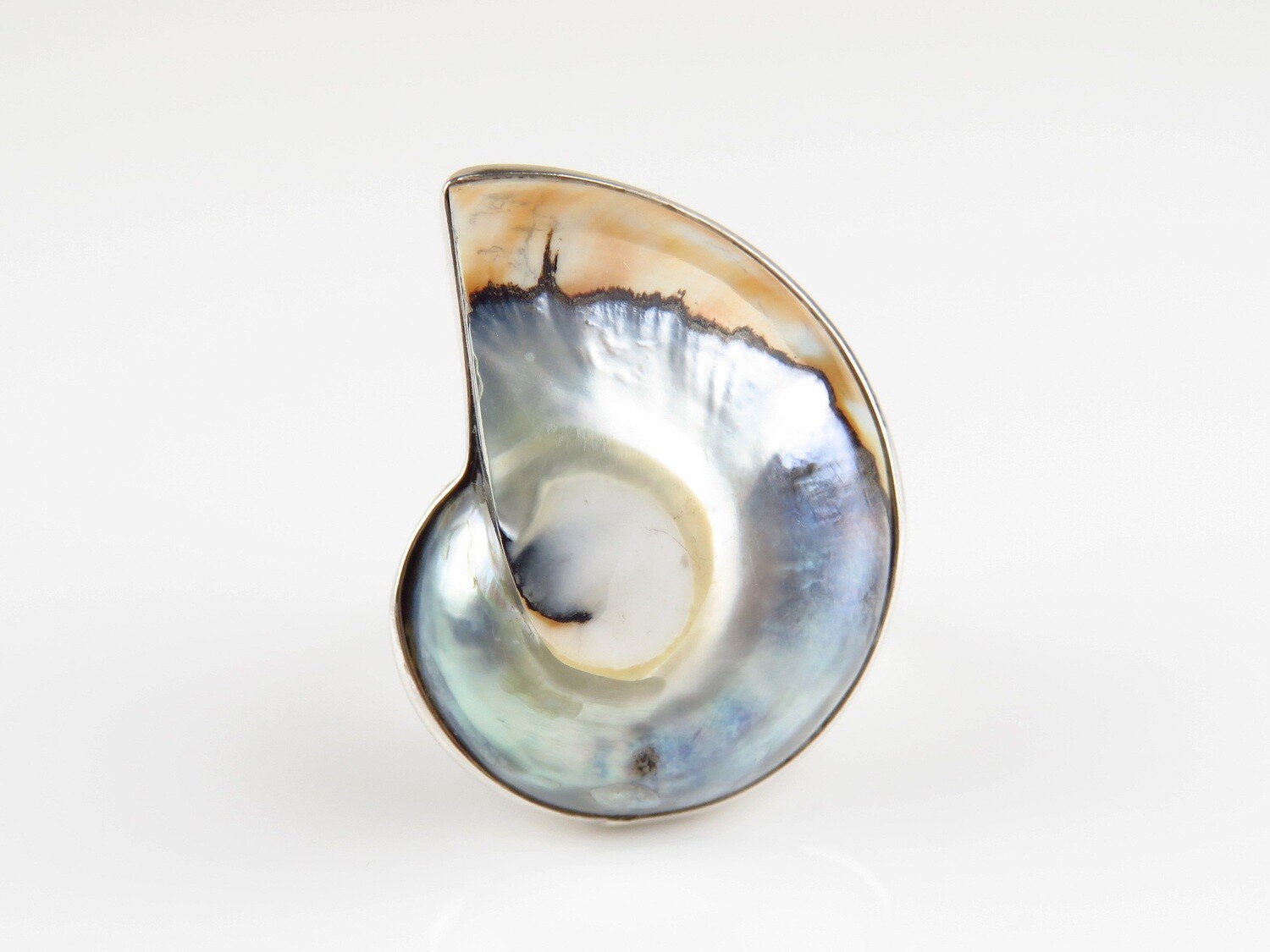 Sterling Silver, Grey Color, Nautilus Shell Ring SSR-103