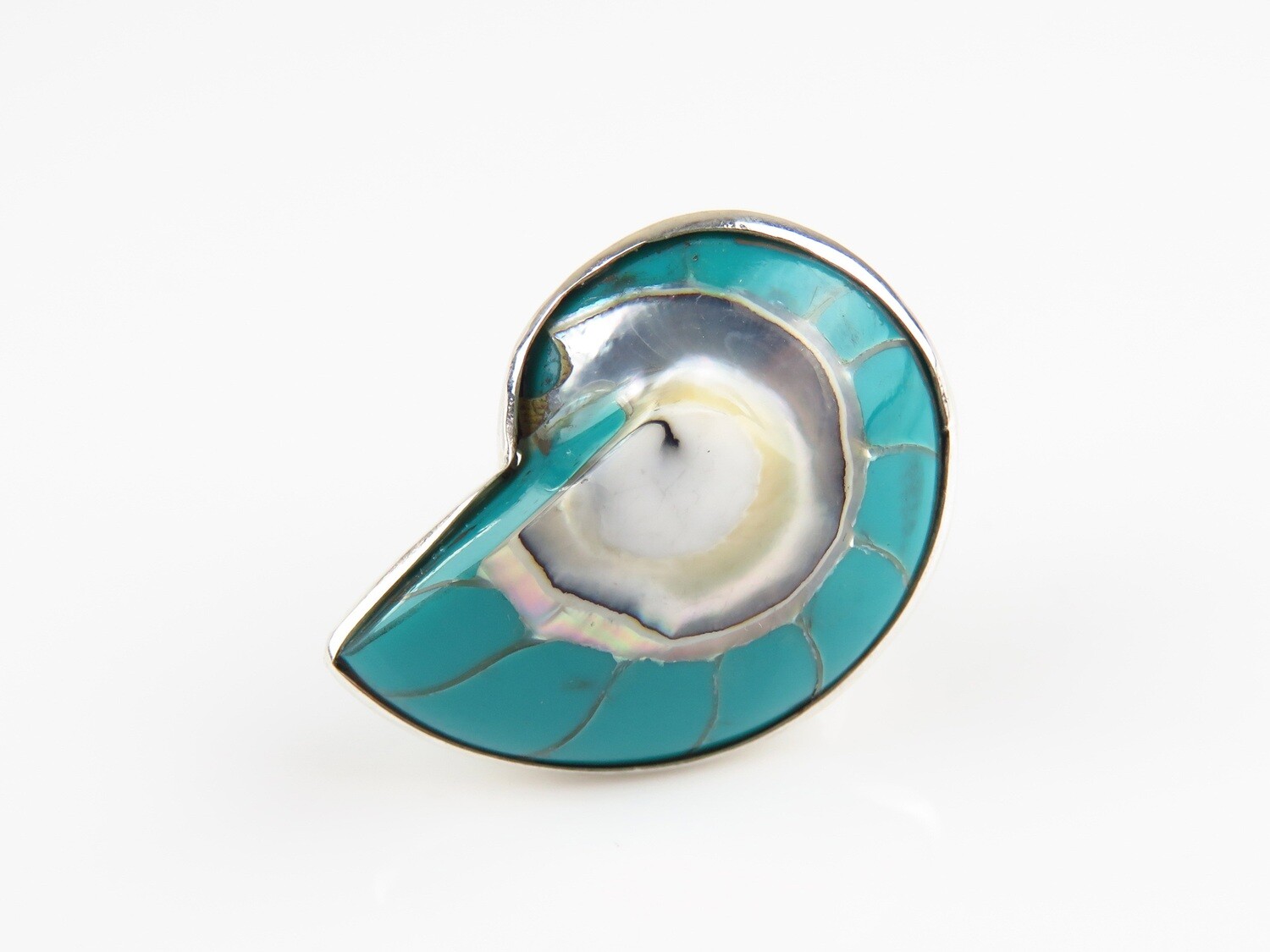 Sterling Silver, Turquoise Color, Nautilus Shell Ring SSR-104