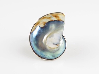 Sterling Silver, Grey Color, Nautilus Shell Ring SSR-105