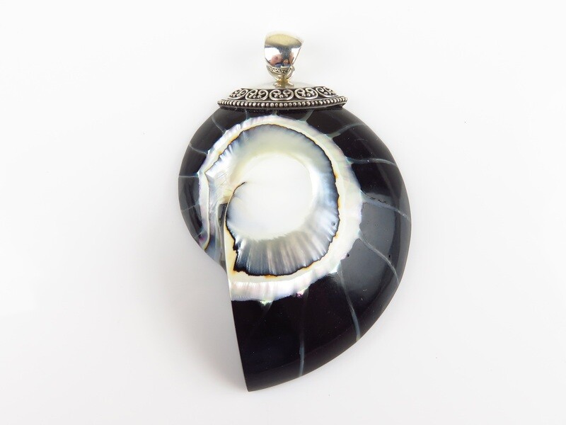 Sterling Silver, Black Color, Nautilus  Shell Pendant SHP-159