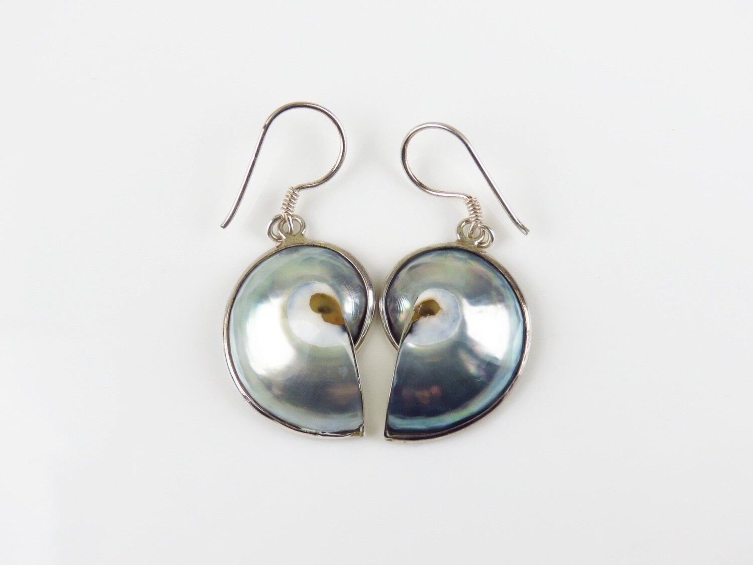 Sterling Silver, Gray Color, Nautilus Shell Earrings SSE-124