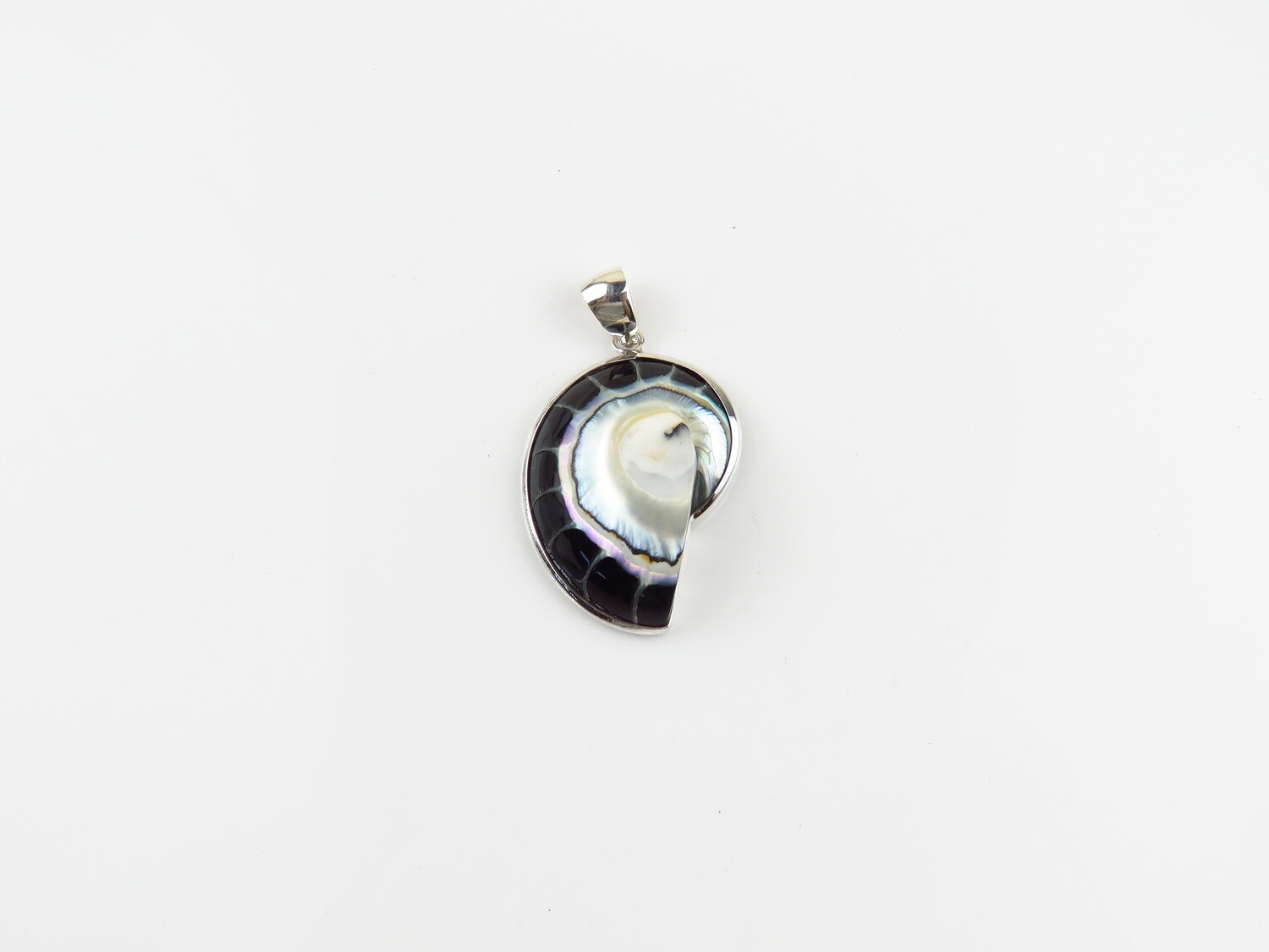 Sterling Silver, Black Color, Nautilus  Shell Pendant SHP-176