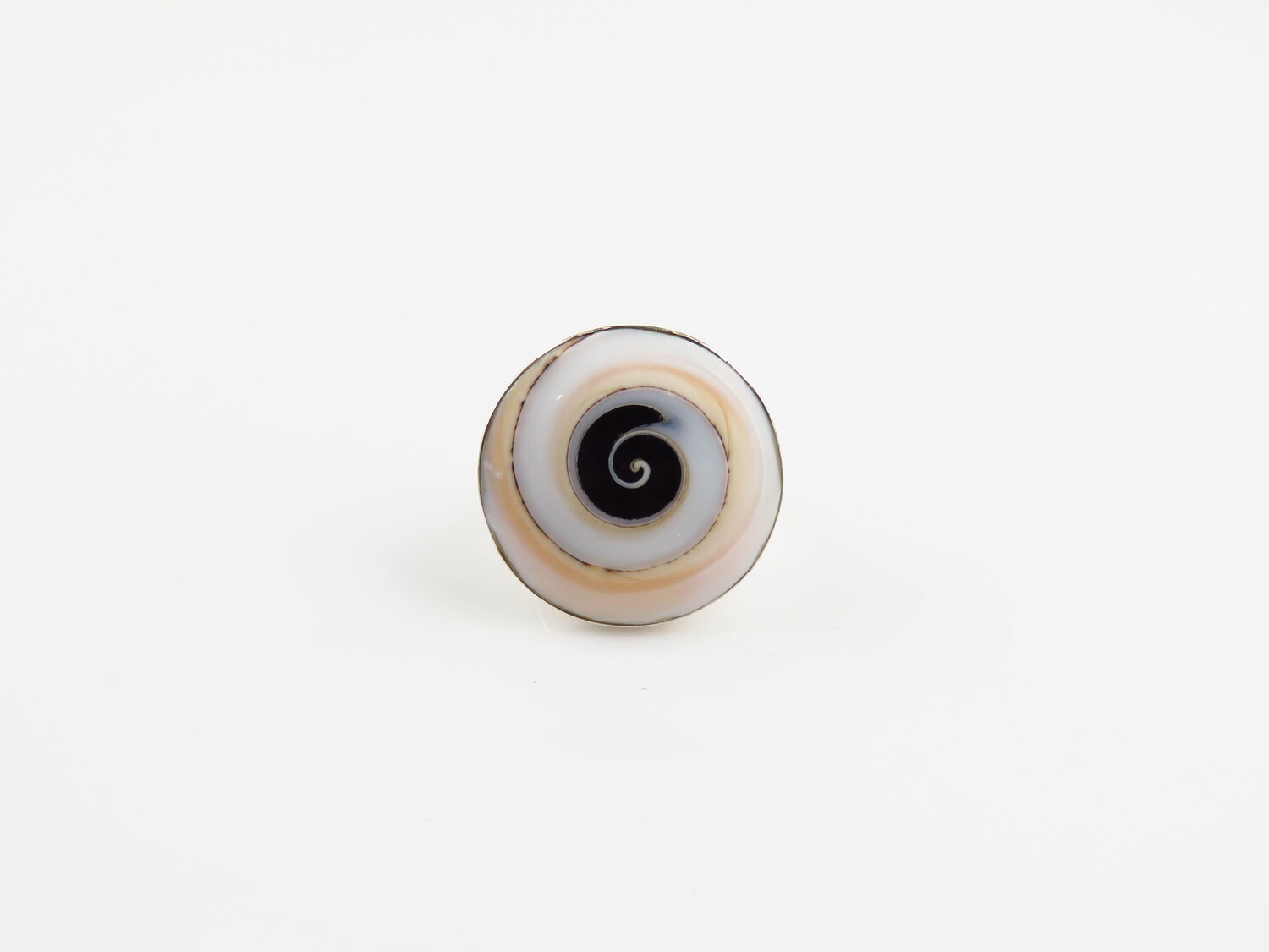 Sterling Silver, Multicolor, Nautilus Shell Ring SSR-107