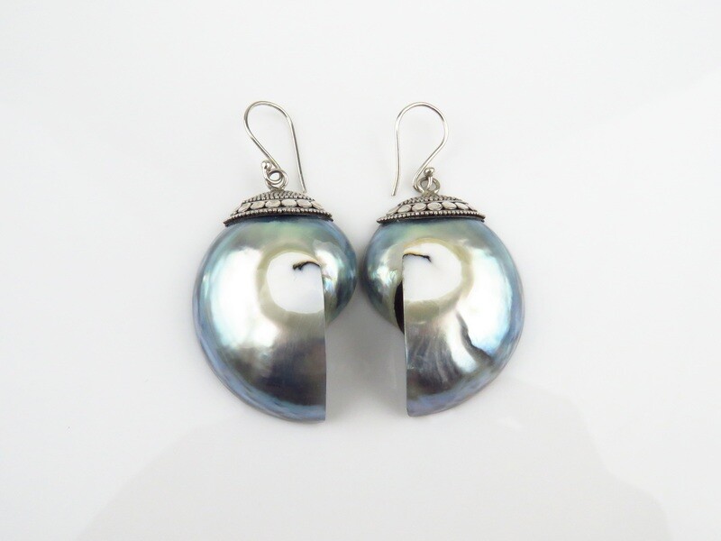 Sterling Silver, Nautilus Shell, Dangle Earrings SSE-132