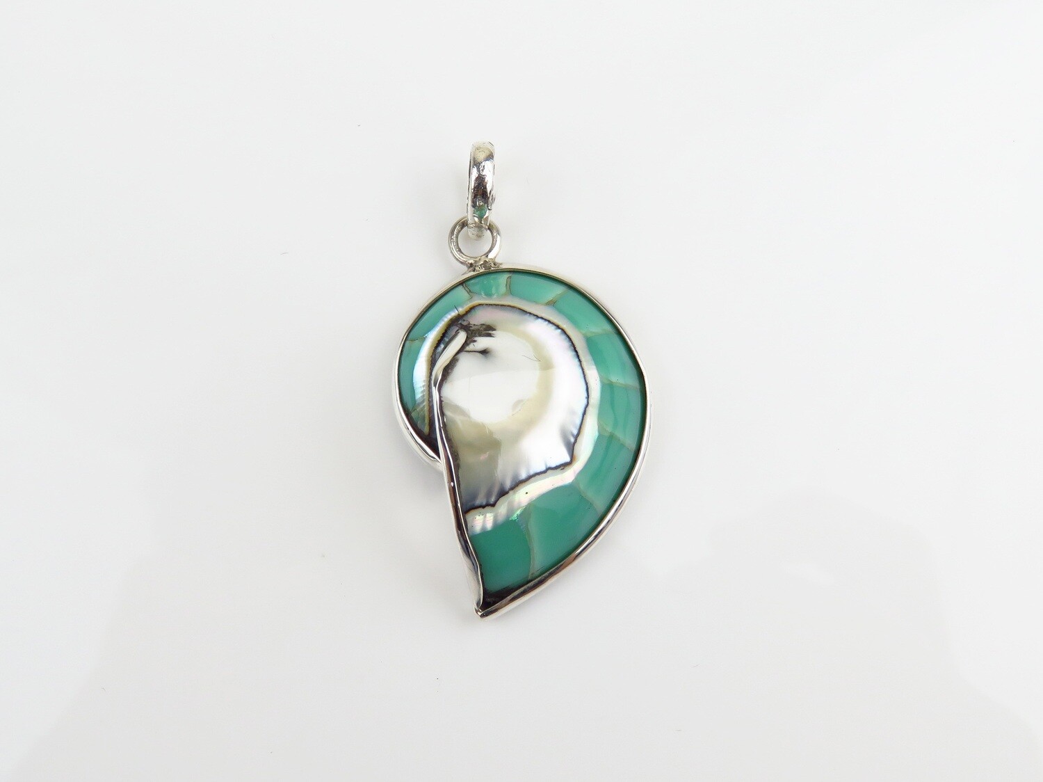 Sterling Silver, Turquoise Color, Nautilus Shell Pendant SHP-179